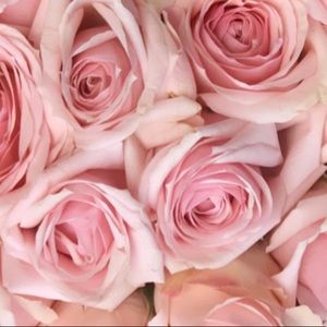 Meet your Posher, Liv